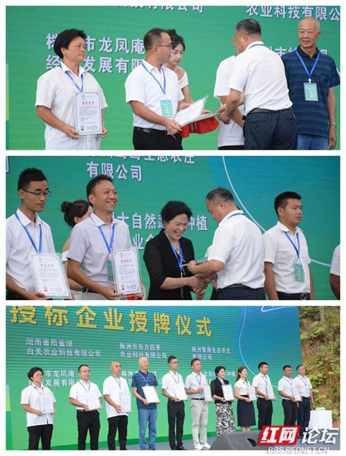 株洲夏季乡村文旅节 丝瓜为媒，白关绘出乡村振兴新画卷
