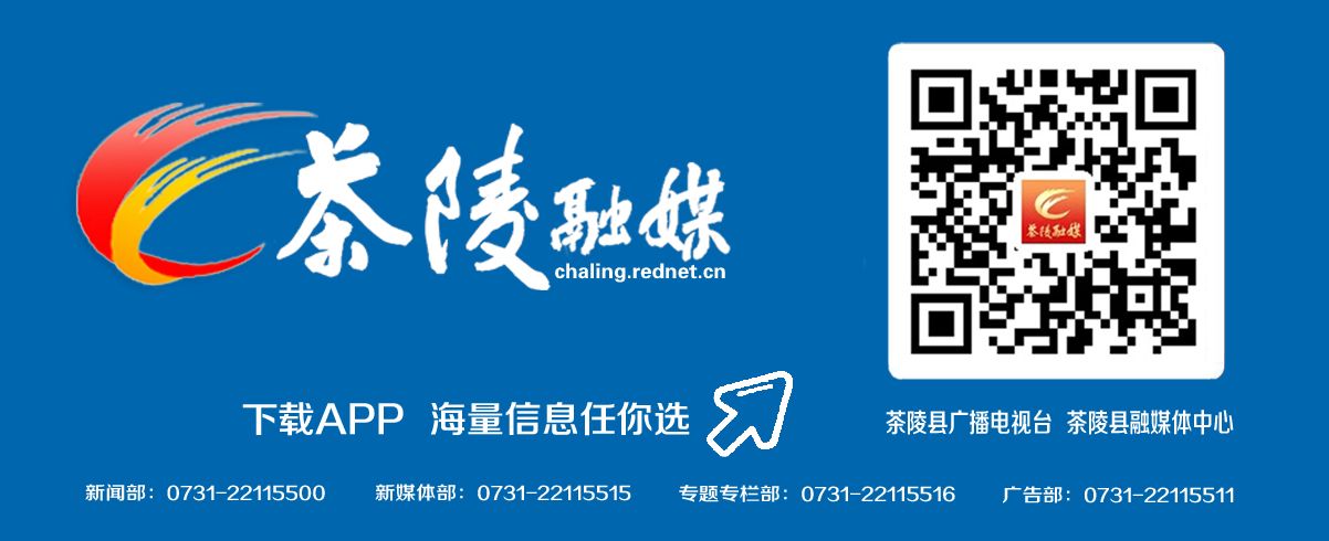 首趟株洲旅游专列驶入茶陵